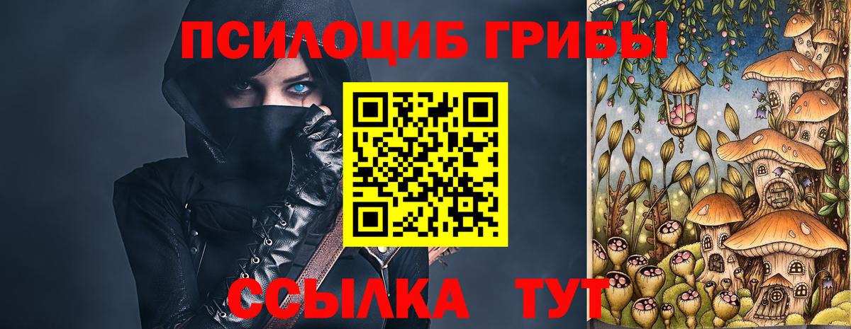 Галлюциногенные грибы мицелий Кохма