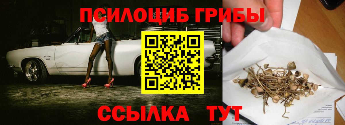 Псилоцибиновые грибы MAGIC MUSHROOMS  Вход с VPN  Галлюциногенные грибы мухоморы  Кохма 